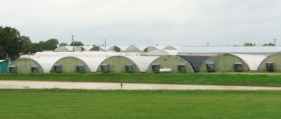 Wilsons-Greenhouses