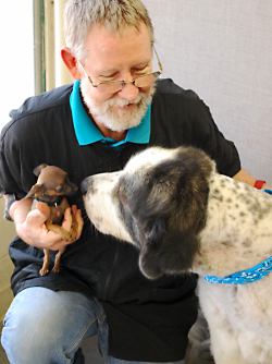 Canine John Lamb
