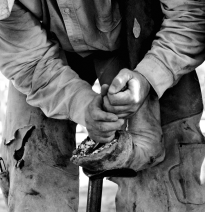 Cowboys At Work 2