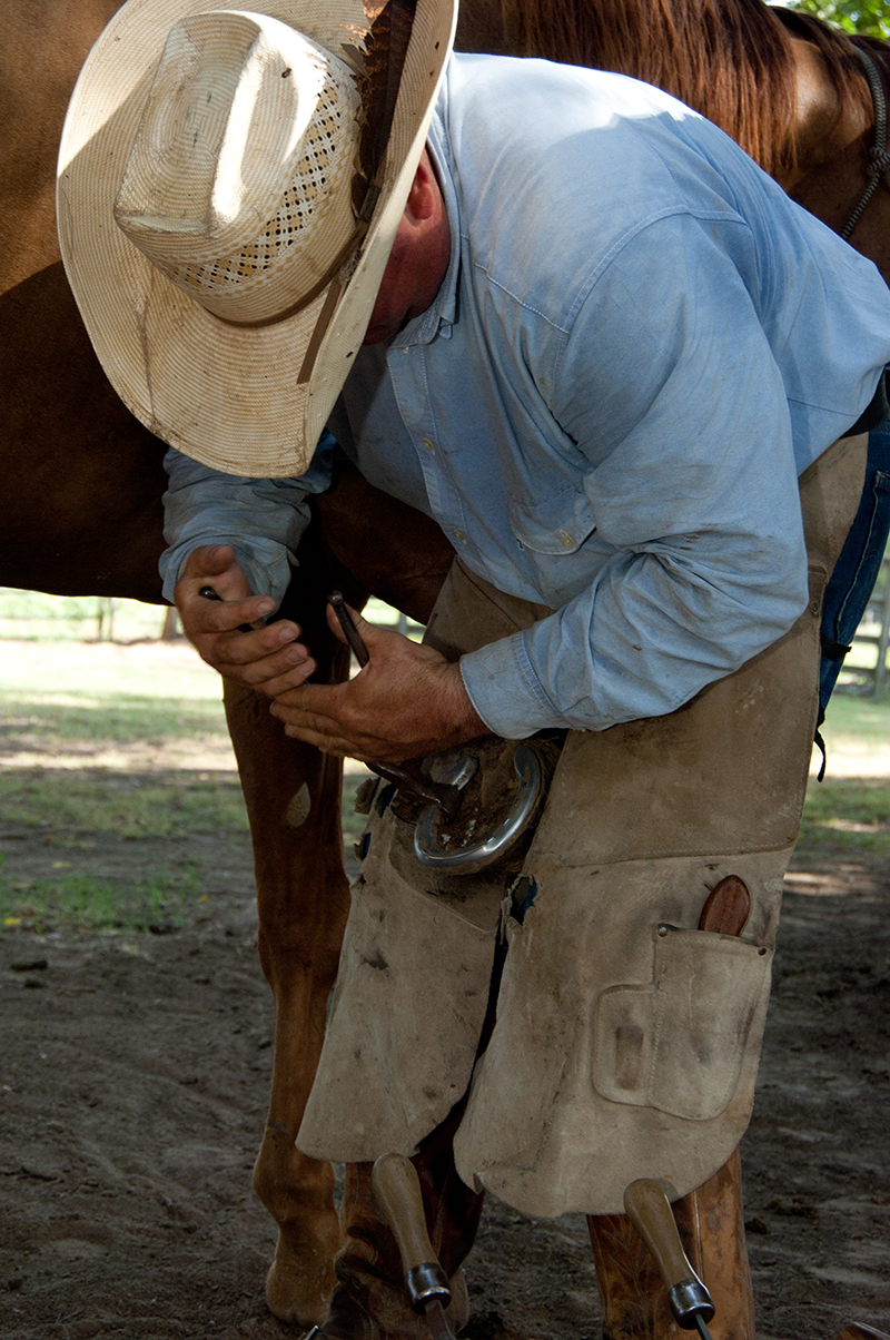 Cowboys at Work - Texoma Living! Online